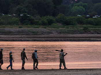 Luambe Camp: Walkingsafari in den Morgenstunden Luambe Camp: Walkingsafari in den Morgenstunden