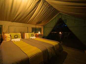 Mankwe Bush Lodge: Das große Doppelbett in einem der Gästezelte