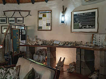 Mashatu Lodge: Entdecker Raum Mashatu Lodge: Entdecker Raum