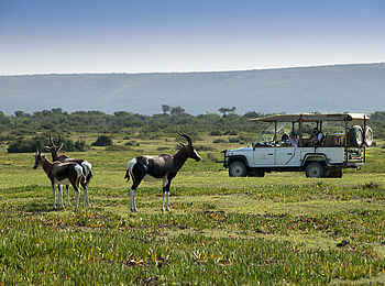 Morukuru Beach Lodge: Ein Jeep Ausflug durch die Natur Morukuru Beach Lodge: Ein Jeep Ausflug durch die Natur