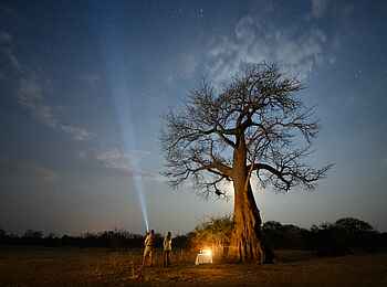 Puku Ridge Camp: Faszinierender Sternenhimmel Puku Ridge Camp: Faszinierender Sternenhimmel