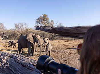 Savuti Camp: Im Hide