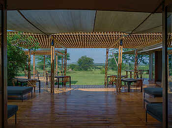 Sayari Camp: Blick hinaus