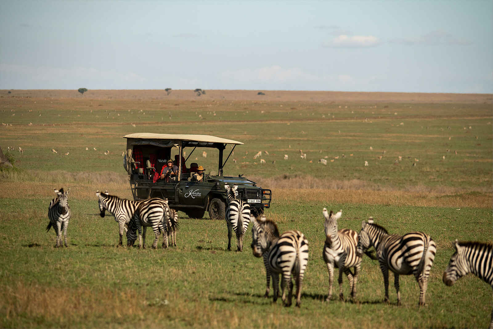 Serengeti Sametu Camp: Zebras Serengeti Sametu Camp: Zebras