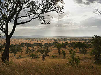 Singita Explore Mobile Tented Camp: Traumhafte Landschaft Singita Explore Mobile Tented Camp: Traumhafte Landschaft