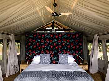 Time + Tide Chongwe Camp: Gästezelt mit Doppelbett