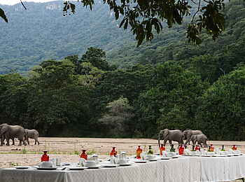 Wayo Manyara Green Camp: Elfantenbesuch