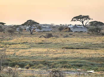 Namiri Plains Camp: Die Umgebung