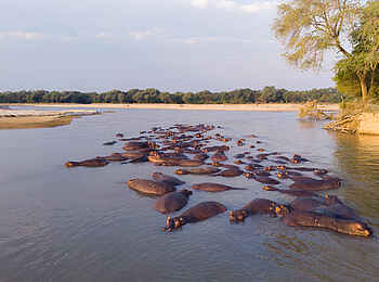 Takwela Camp: Nilpferdgruppe Takwela Camp: Nilpferdgruppe