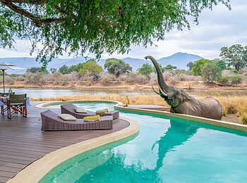 Time + Tide Chongwe House: Durstiger Besuch Time + Tide Chongwe House: Durstiger Besuch