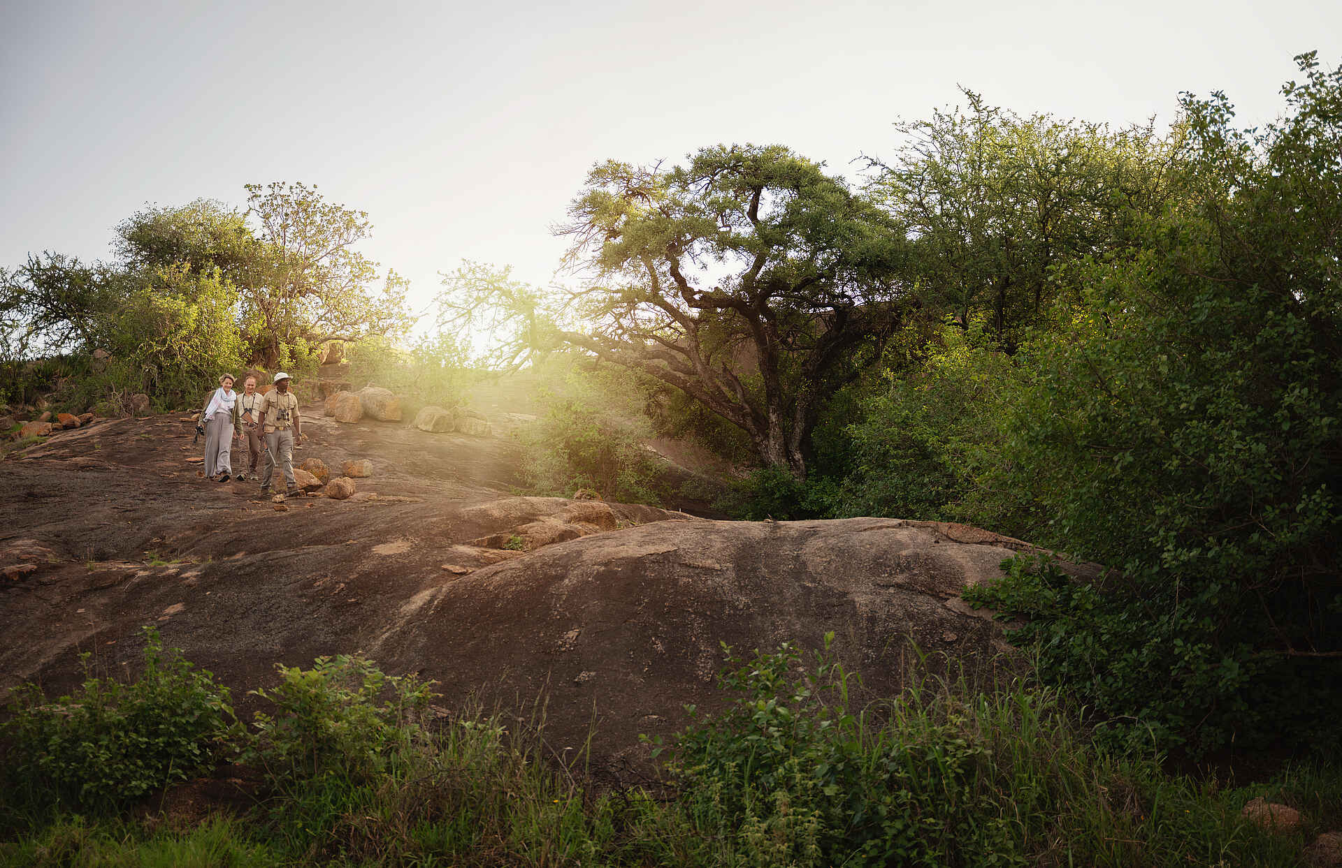 Charlie Serengeti Safari Camp: Entdeckungen auf Kopje