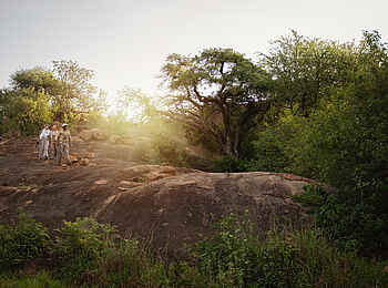 Charlie Serengeti Safari Camp: Entdeckungen auf Kopje