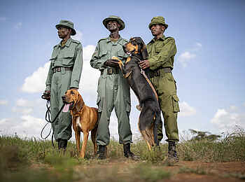 Loisaba Lodo Springs: Antipoaching Einheit