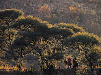 Mateya Safari Lodge: Buschwanderung