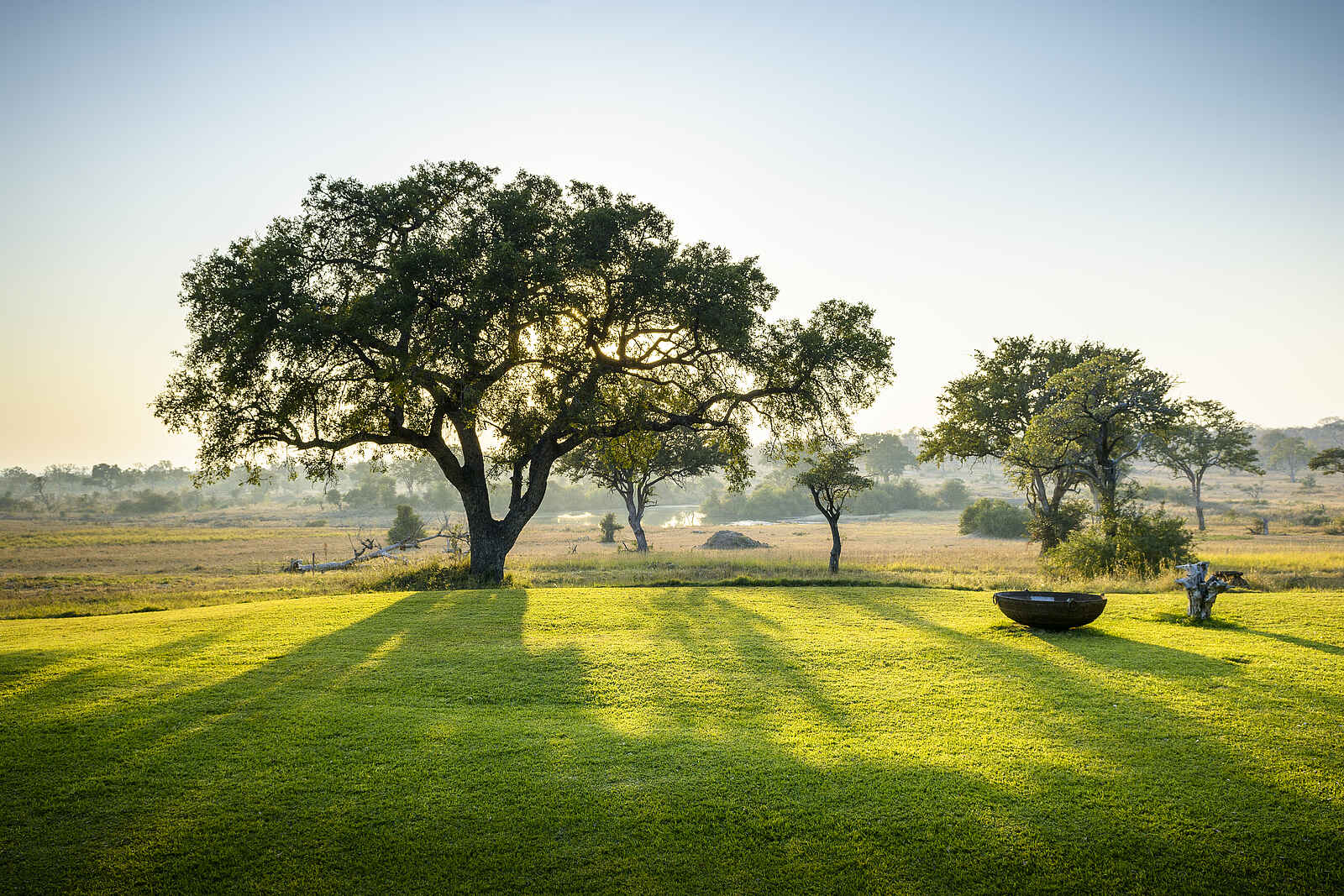 Singita Castleton: Rasen mit Wasserloch im Hintergrund Singita Castleton: Rasen mit Wasserloch im Hintergrund