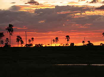 The Hide: Mbiza Pan am Abend The Hide: Mbiza Pan am Abend