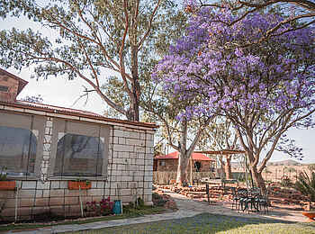 Voigtland Guesthouse: Garten mit farbenfrohen Bäumen
