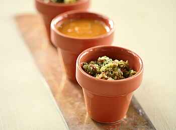 Lion Camp: Condiments