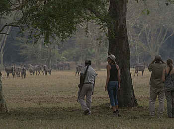 Chicari Camp: Wandersafari Chicari Camp: Wandersafari