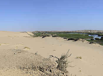 Hoanib Skeleton Coast Camp: Endloser Horizont Hoanib Skeleton Coast Camp: Endloser Horizont