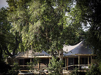 Little Mombo Camp: Terrasse