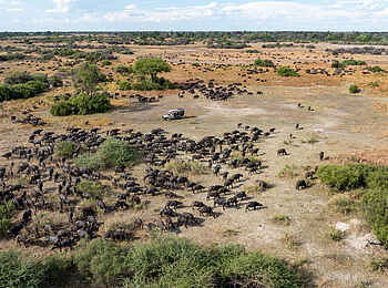 Nkasa Linyanti: Auf Pirschfahrt Nkasa Linyanti: Auf Pirschfahrt