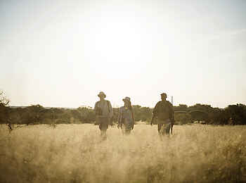 Oliver's Camp: Walking Safari Oliver's Camp: Walking Safari