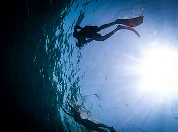 Pole Pole Bungalows: Schnorcheln