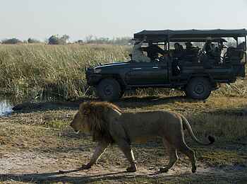 Selinda Explorers Camp: Pirschfahrt