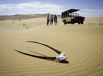 Serra Cafema: Oryxgehörn