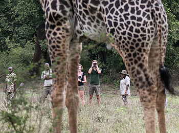 Shawa Luangwa Camp: Fotos auf Walking Safari