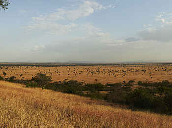 Singita Explore Mobile Tented Camp: Singita Grumeti Singita Explore Mobile Tented Camp: Singita Grumeti