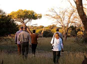 Thamo Telele Camp: Zu Fuß unterwegs Thamo Telele Camp: Zu Fuß unterwegs