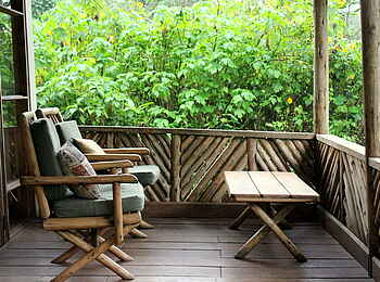 Volcanoes Bwindi Lodge: Die Natur gleich vor der Terrasse