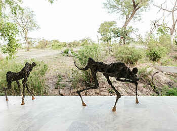 Cheetah Plains Mapogo House: Nochmehr Kunst Cheetah Plains Mapogo House: Nochmehr Kunst