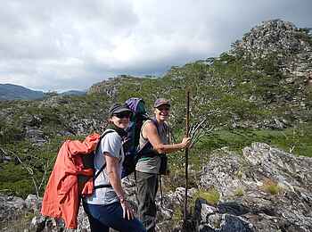 Frog and Fern Cottages: Kurze Pause Frog and Fern Cottages: Kurze Pause