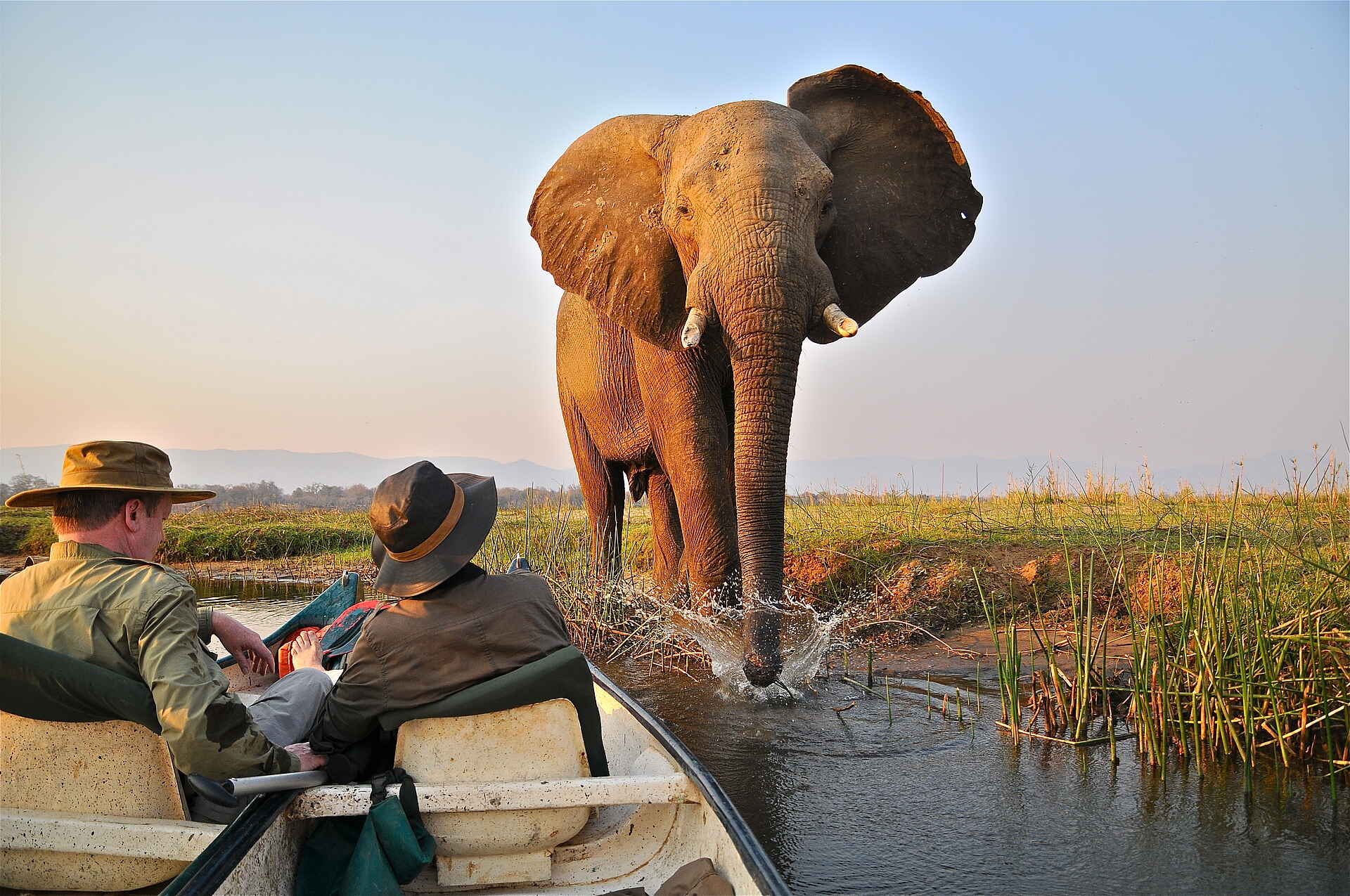 Bushlife Safaris, Des Murray, Little Vundu Camp, Mana Pools National Park, Nich Murray, Elefanten, Loxodonta Africana, Afrikarma, Afrikarma Safaris, Afrikarma Safaris. Wildnis. Hautnah., Afrikarma.de