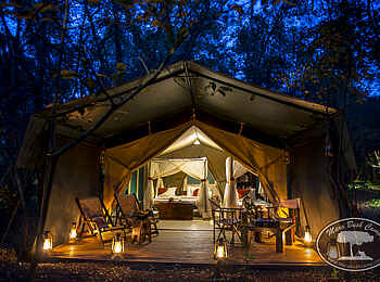 Mara Bush Camp: Laternen vor einem Zelt Mara Bush Camp: Laternen vor einem Zelt