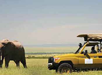 Olare Mara Kempinski: Beobachtung eines Elefantenbullen