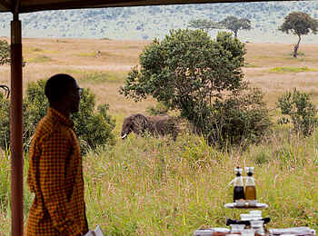 Angama Safari Camp: Gäste beim Lunch Angama Safari Camp: Gäste beim Lunch