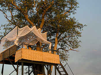 Mwamba Bush Camp: Numbu Star Bed Mwamba Bush Camp: Numbu Star Bed