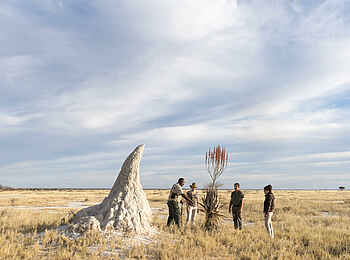 Onguma Camp Kala: Termitenhügel