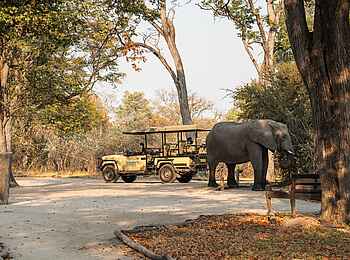 Sable Alley Camp: Eingang Camp mit Elefant