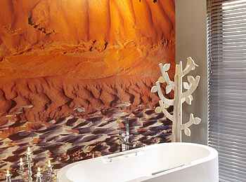 The Olive Exclusive: Namib - Wanne