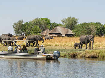 Chobe Savanna Lodge: Bootsfahrt mit Elefanten