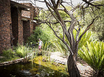 Marataba Safari Lodge: Spielendes Kind am Teich