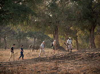Nyamatusi Camp: Tour mit Guide Nyamatusi Camp: Tour mit Guide