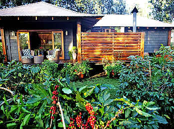 Arusha Coffee Lodge: Gästesuite von außen