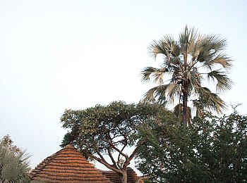 Camp Kalahari: Blick auf das Hauptgebäude