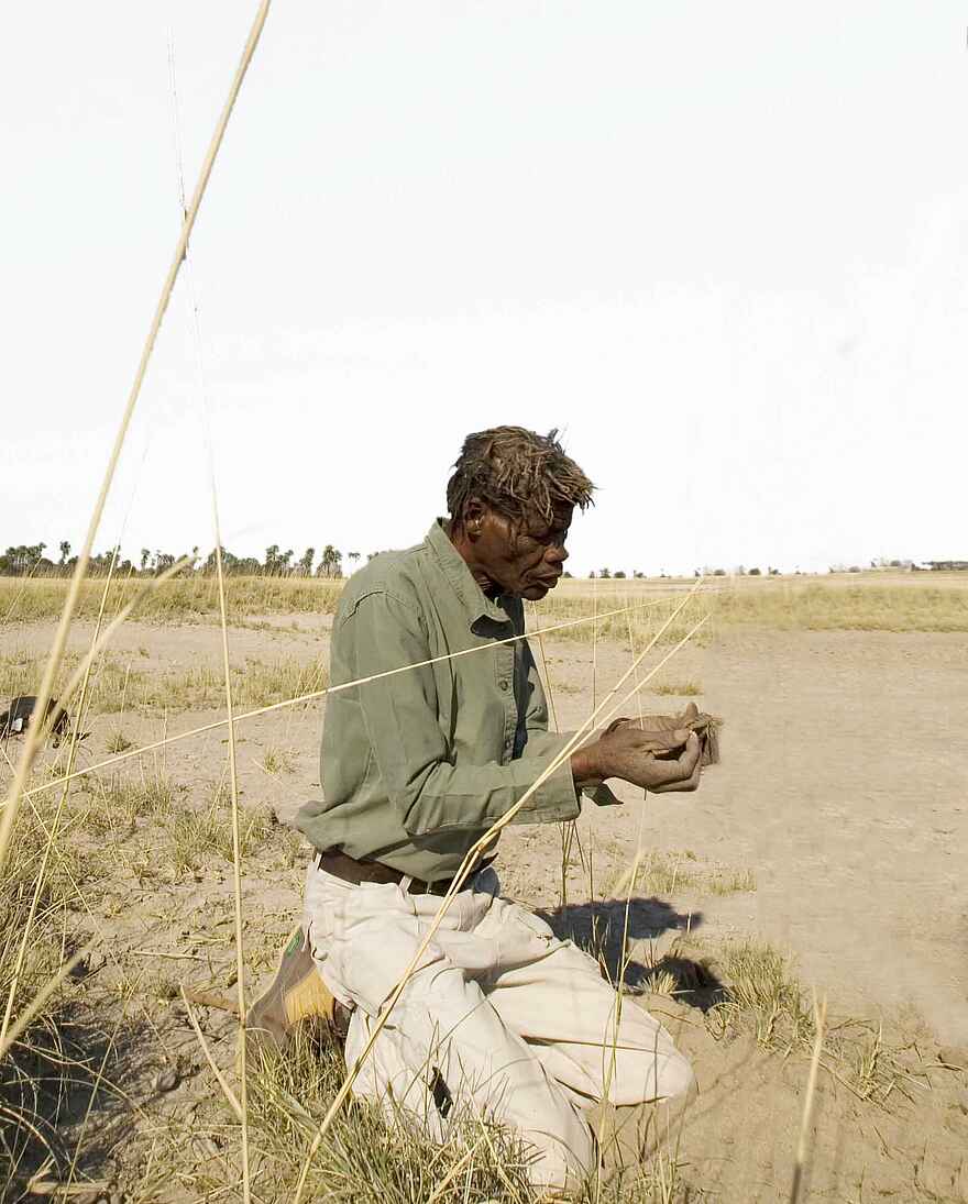 Jack's Camp: Spurenlese Jack's Camp: Spurenlese